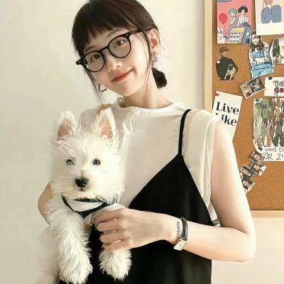 情战巴西